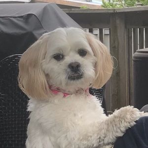 Meet your Posher, Kim